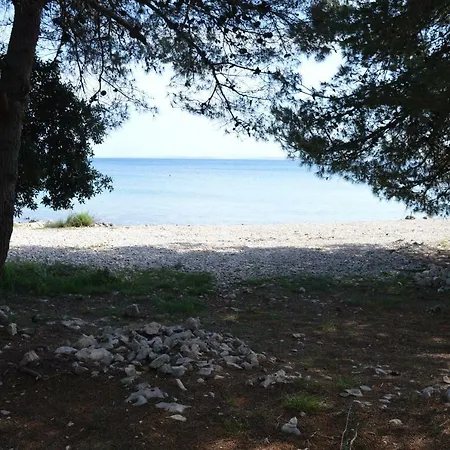 La Bella Vita